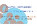 Détails : Agence de référencement dans les Vosges